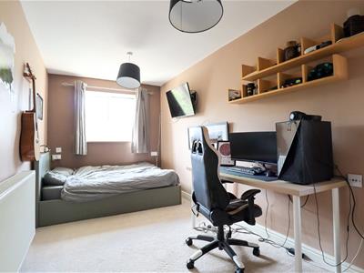 Picture 13